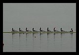 IMG_3198.jpg