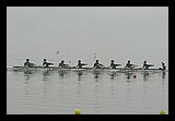 IMG_3202.jpg