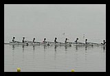 IMG_3204.jpg