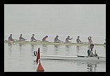 IMG_3206.jpg