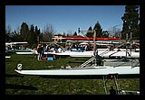 IMG_4828.jpg