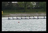 IMG_5697.jpg