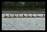 IMG_5703.jpg