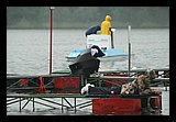IMG_1203.jpg