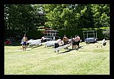 IMG_8433.jpg