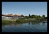 IMG_8445.jpg