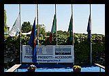 IMG_8457.jpg