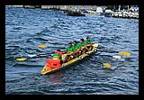 IMG_7409.jpg