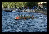 IMG_7420.jpg