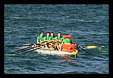 IMG_7423.jpg