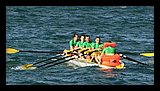 IMG_7424.jpg