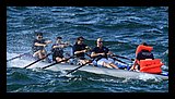 IMG_7438.jpg