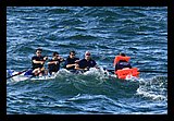 IMG_7440.jpg
