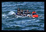 IMG_7442.jpg