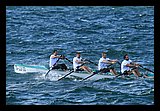 IMG_7444.jpg