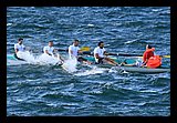 IMG_7445.jpg