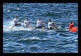 IMG_7448.jpg