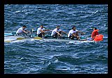 IMG_7450.jpg
