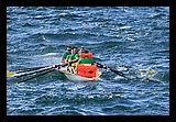 IMG_7451.jpg