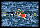 IMG_7453.jpg