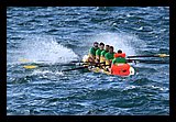 IMG_7455.jpg