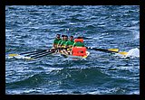 IMG_7458.jpg