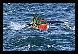 IMG_7459.jpg