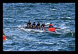 IMG_7463.jpg