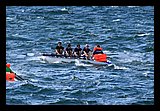 IMG_7464.jpg