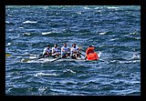 IMG_7468.jpg
