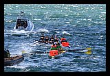 IMG_7477.jpg
