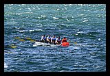 IMG_7479.jpg