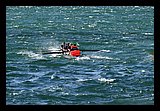 IMG_7483.jpg
