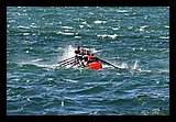 IMG_7485.jpg