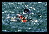 IMG_7488.jpg