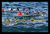 IMG_7490.jpg