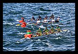 IMG_7492.jpg