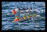 IMG_7493.jpg