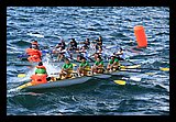 IMG_7495.jpg