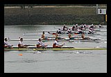 IMG_0294.jpg