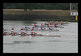 IMG_0311.jpg