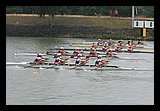 IMG_0319.jpg