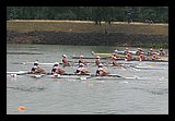IMG_0321.jpg