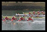 IMG_0336.jpg