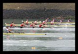 IMG_0338.jpg