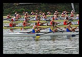 IMG_0402.jpg