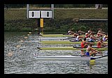 IMG_0404.jpg