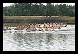 IMG_0417.jpg