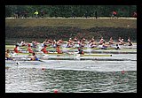IMG_0420.jpg