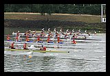 IMG_0439.jpg